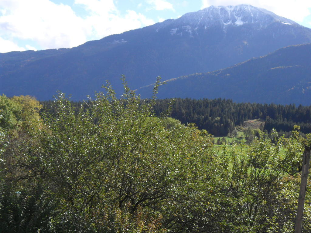 Appartamento Ferienhaus Warmuth Sankt Stefan an der Gail Esterno foto