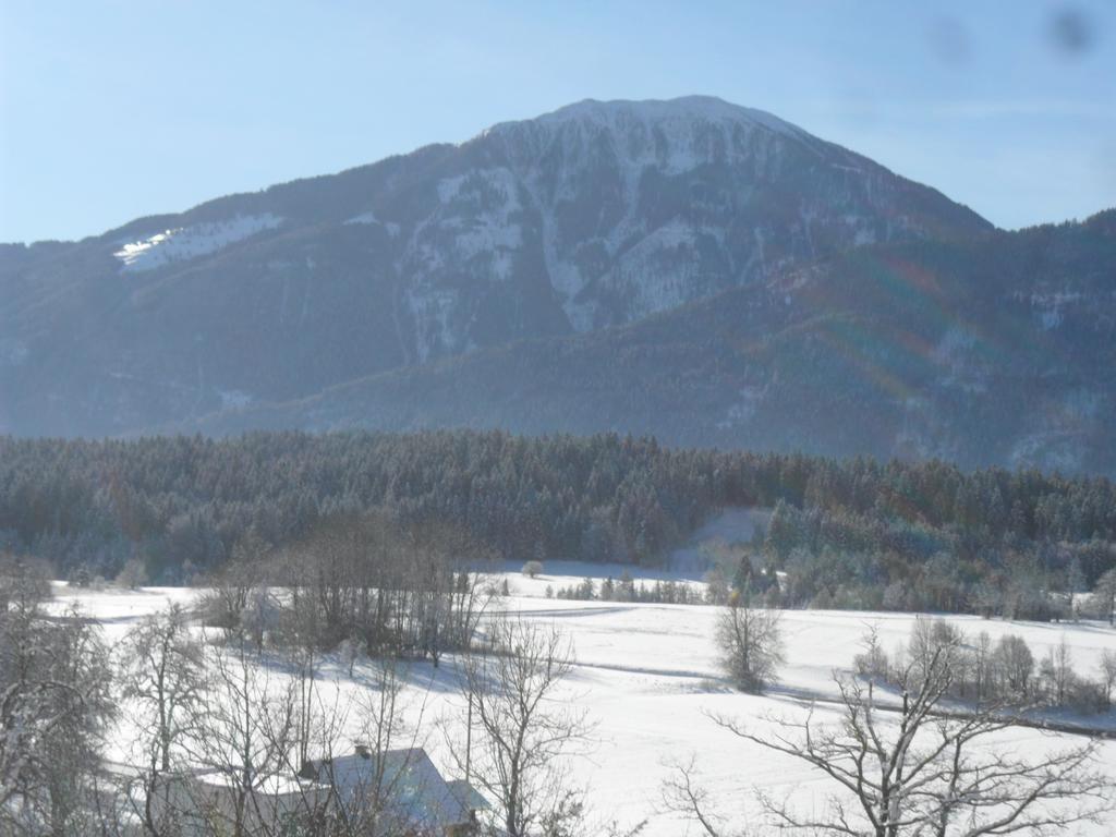 Appartamento Ferienhaus Warmuth Sankt Stefan an der Gail Esterno foto