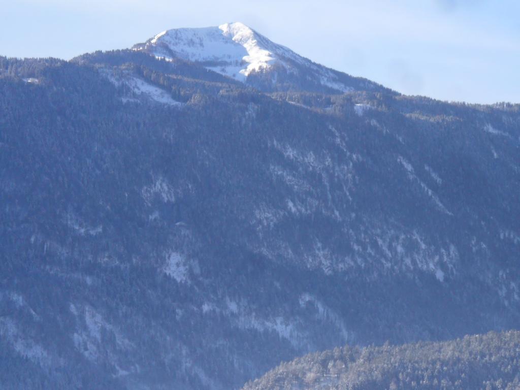 Appartamento Ferienhaus Warmuth Sankt Stefan an der Gail Esterno foto